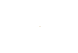 Liszt Restaurant
